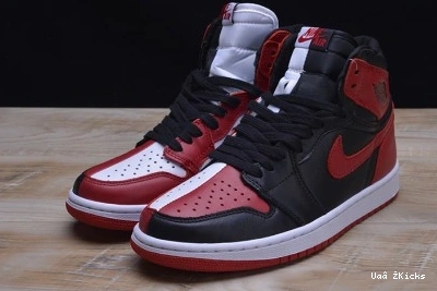 JORDAN 1 RETRO Flexible AIR 285 1106